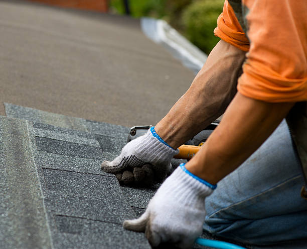 Best Storm Damage Roof Repair  in Lake Pocotopaug, CT